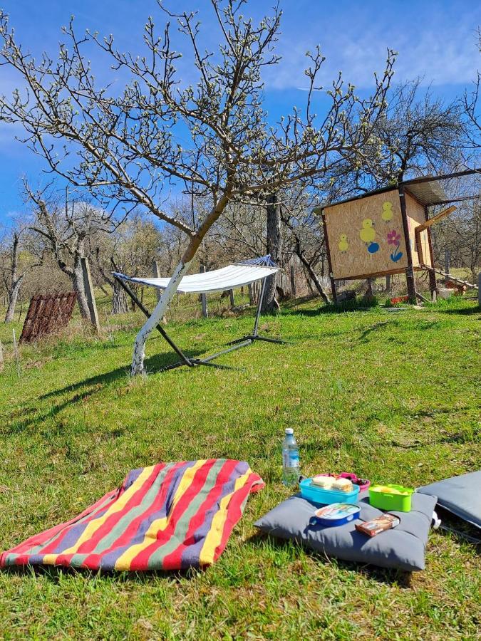 Viata La Tara Cerna Hotel Cerna  Bagian luar foto